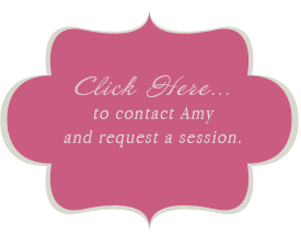 contact amy schuff photography