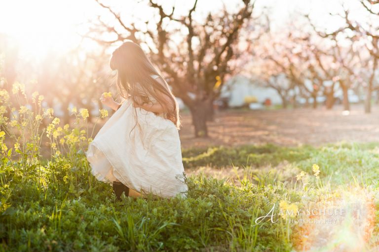 Amy Schuff - Sacramento Wildflower Photography