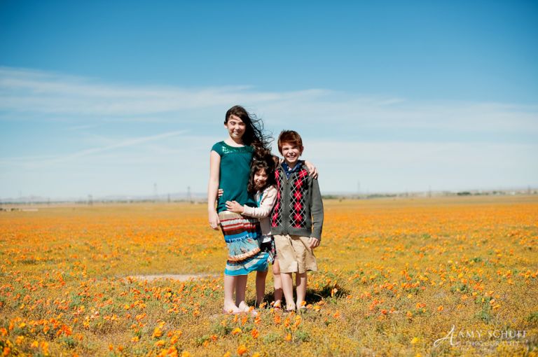 Amy Schuff Poppy Photos