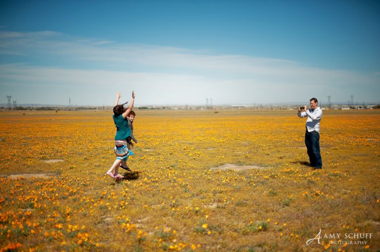 Amy Schuff Poppy Photos