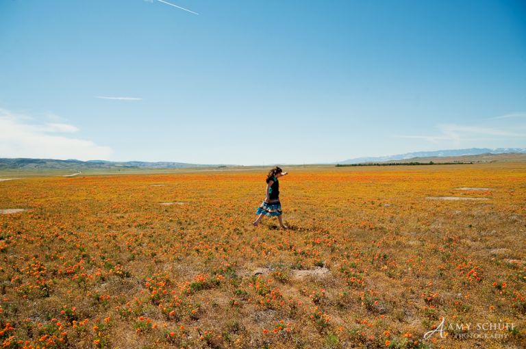 Amy Schuff Poppy Photos