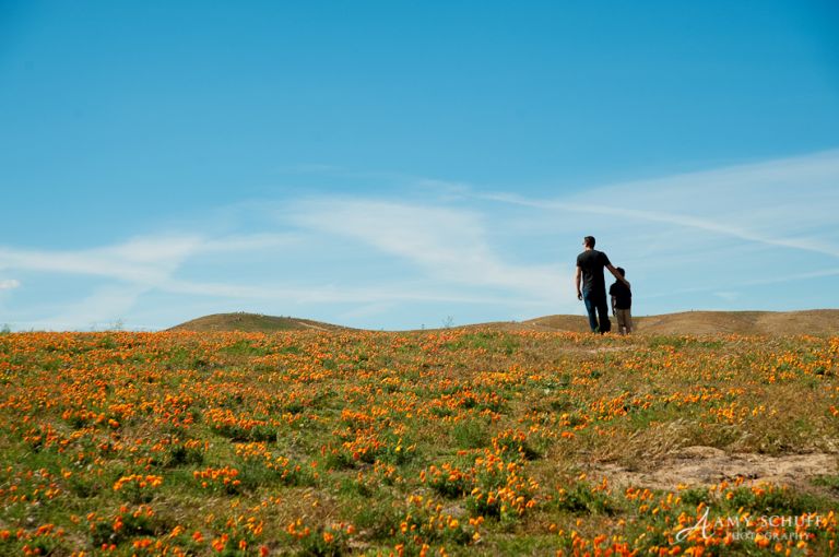 Amy Schuff family photos in the poppies
