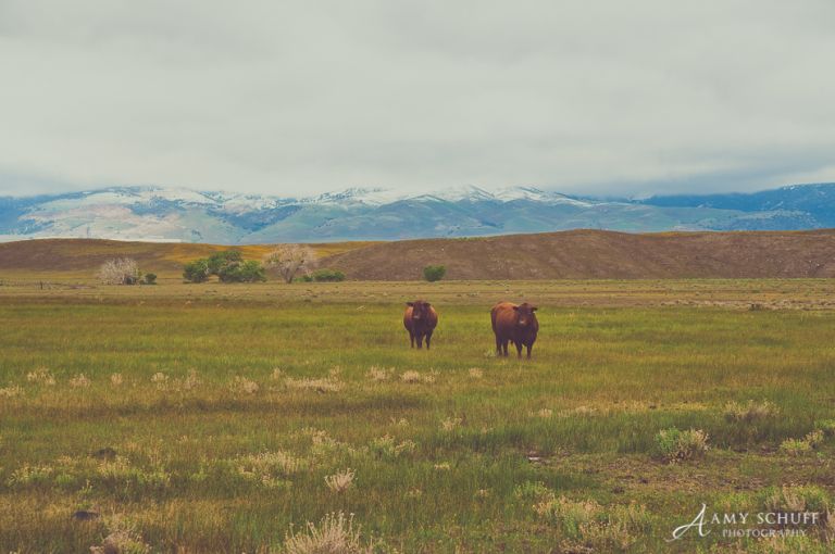 Amy Schuff - Landscape Photography