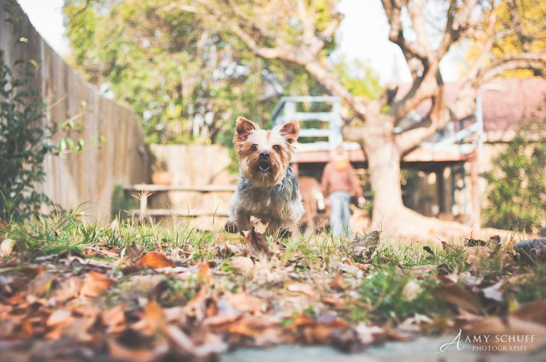 web-31daysgilbert-11