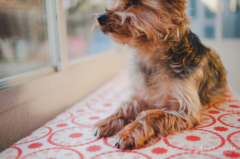 web-31daysgilbert-25