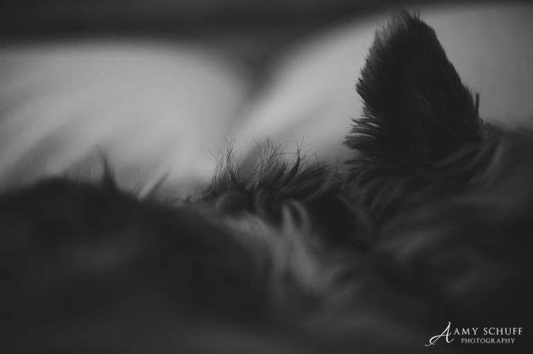 web-31daysgilbert-26