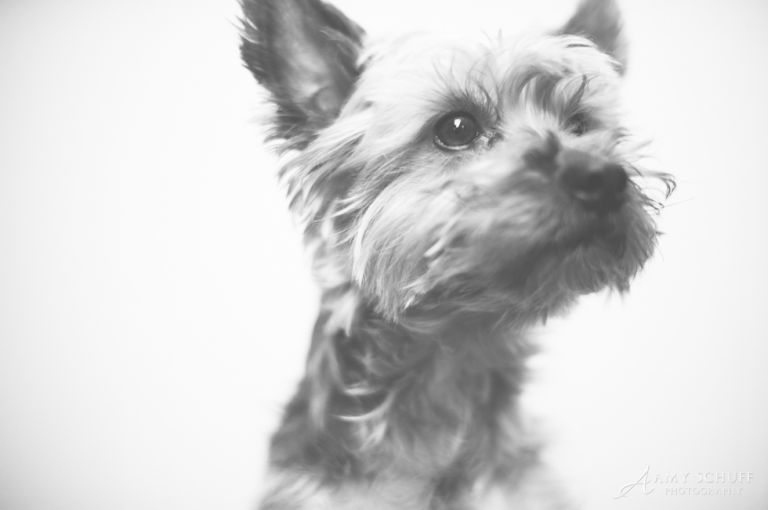 web-31daysgilbert-28