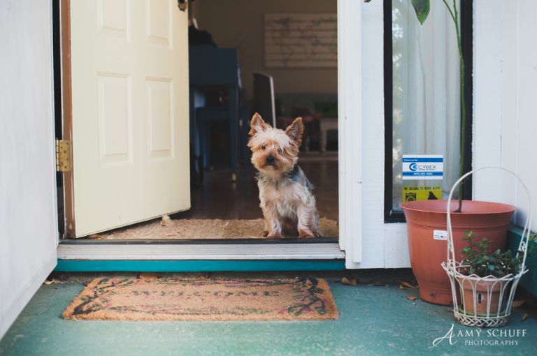 web-31daysgilbert-30