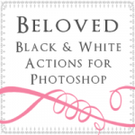 Amy Schuff Photography - Black and White Photoshop Actions