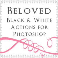 Amy Schuff Photography - Black and White Photoshop Actions