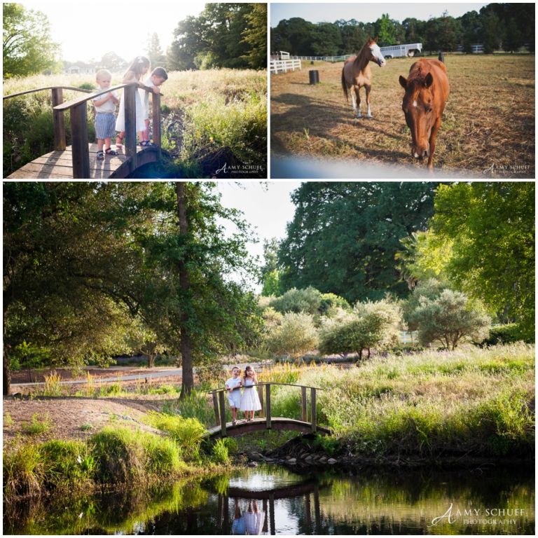 AmySchuff-SacramentoFamilyPhotographer_0146.jpg
