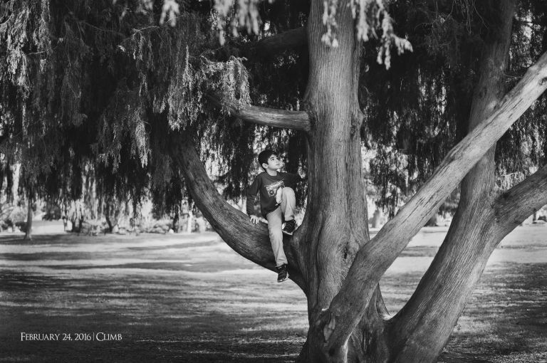 Amy Schuff Photography - Sacramento Photographer