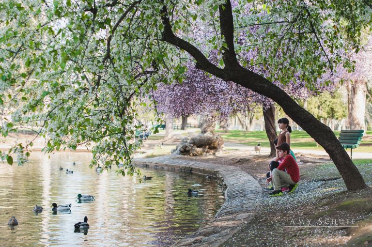 Amy_Schuff_Photography_McKinley_Park