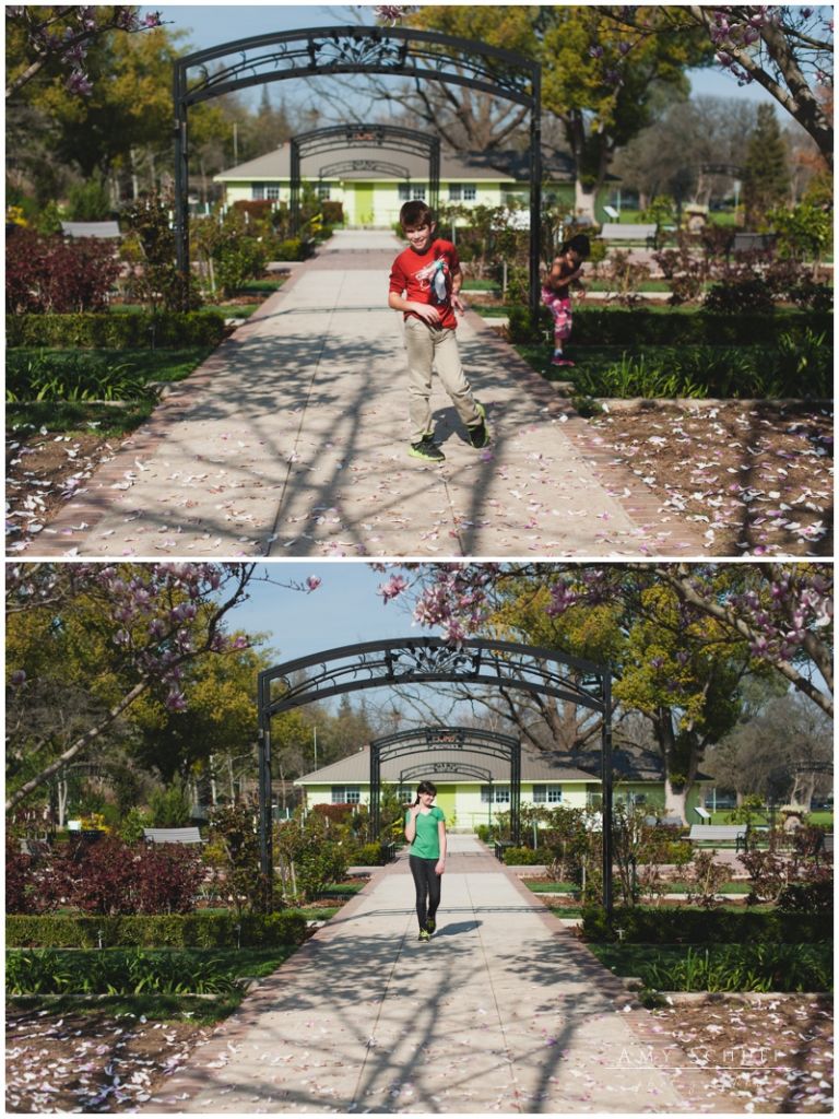 Amy_Schuff_Photography_McKinley_Park