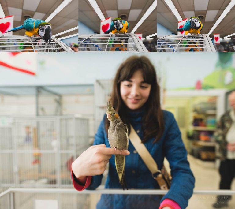 Amy Schuff - Sacramento Family and Lifestyle Photographer